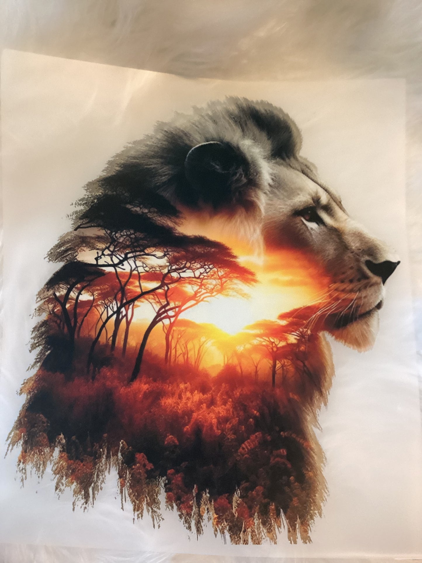 Lion Transfer